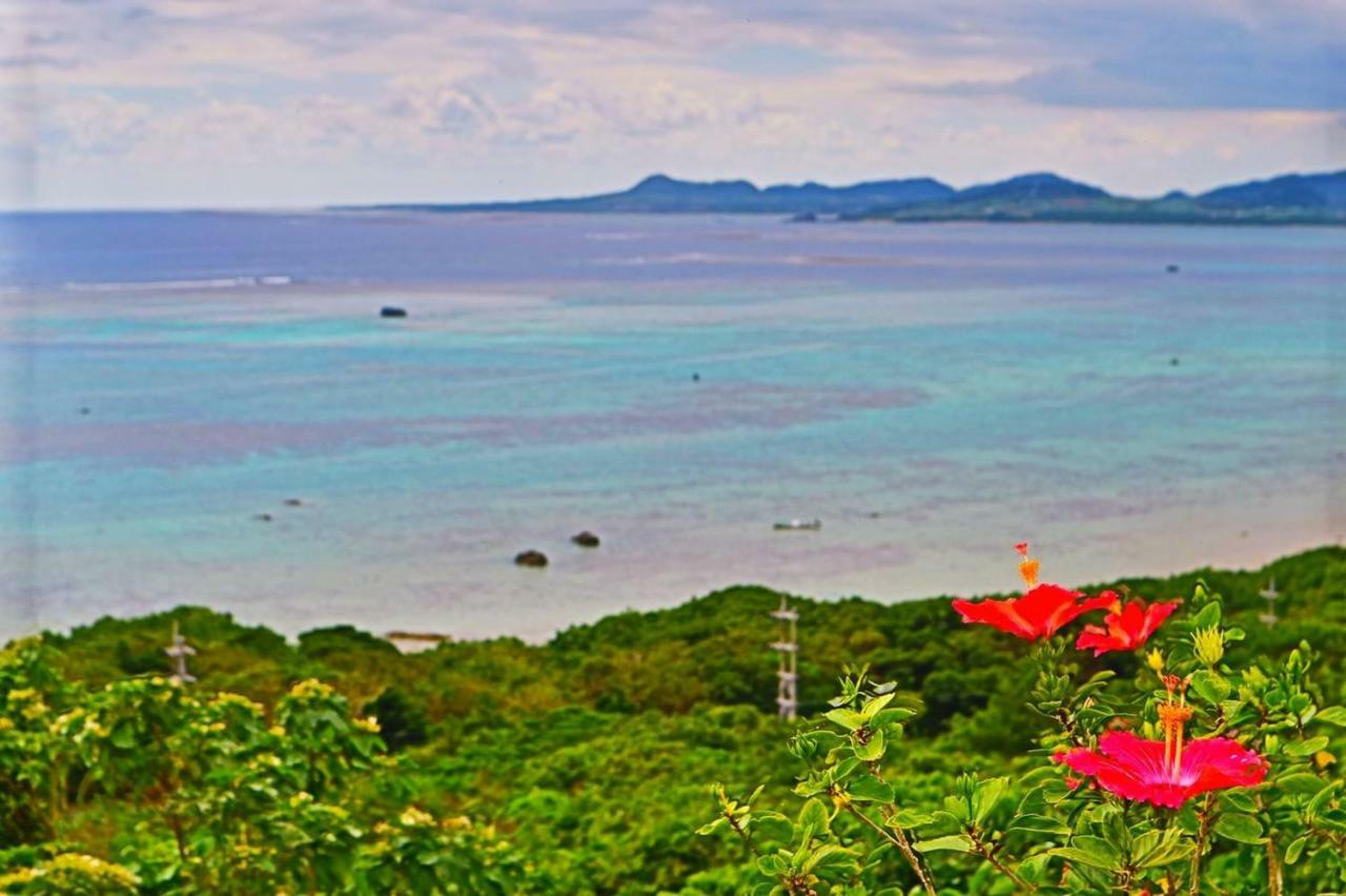 Little Mermaid Hotel Ishigakijima Ishigaki  Exterior foto